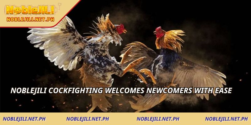 NOBLEJILI Cockfighting welcomes newcomers with ease