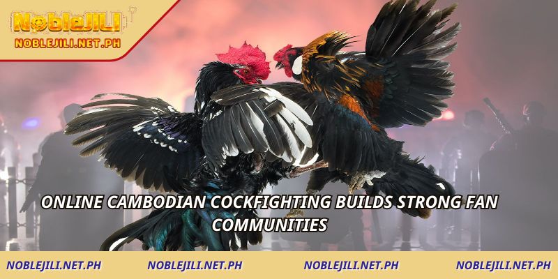 Online Cambodian cockfighting builds strong fan communities