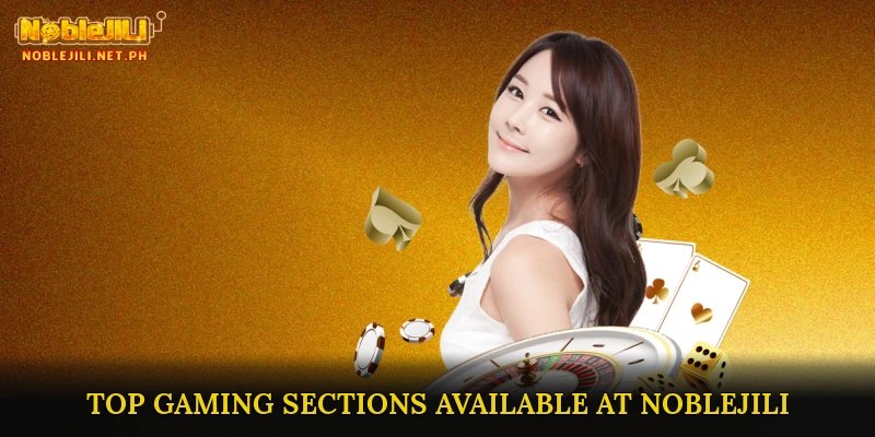 Top Gaming Sections Available at NOBLEJILI