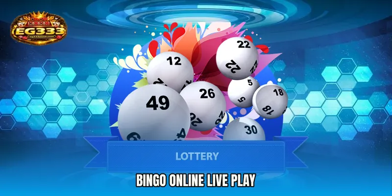 Bingo Online live play