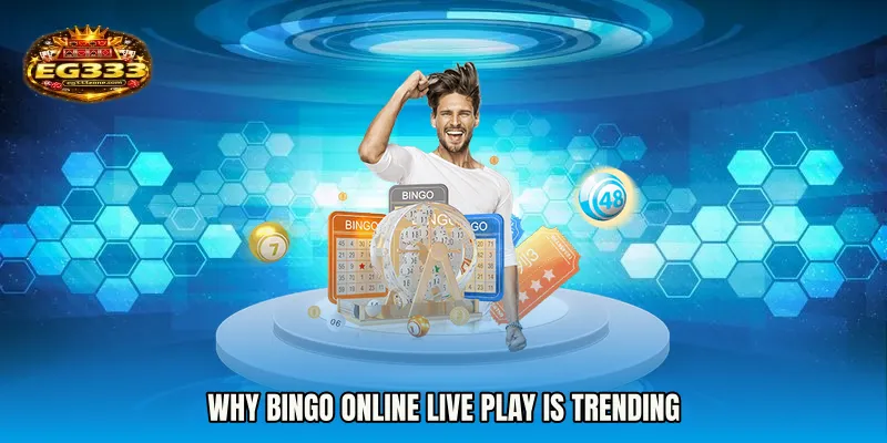 Why Bingo Online live play is Trending